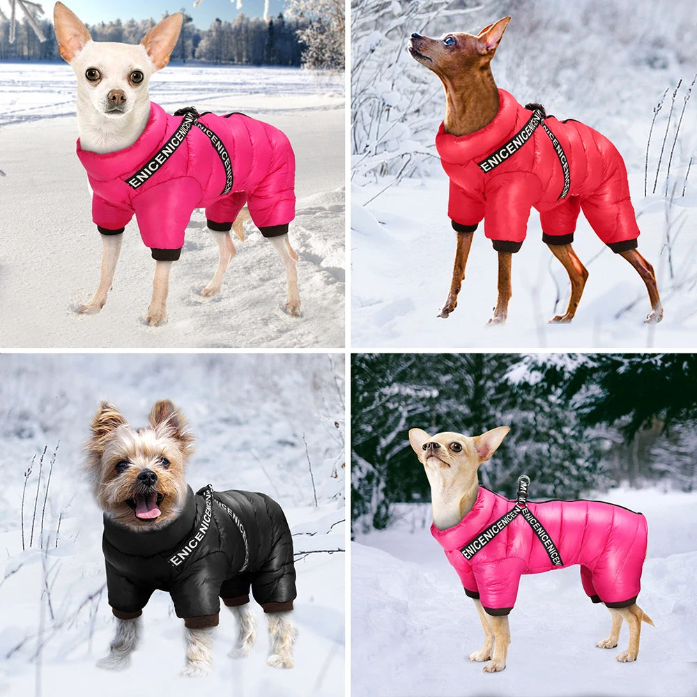 Winter Dog Clothes – Thick Warm Jacket & Jumpsuit