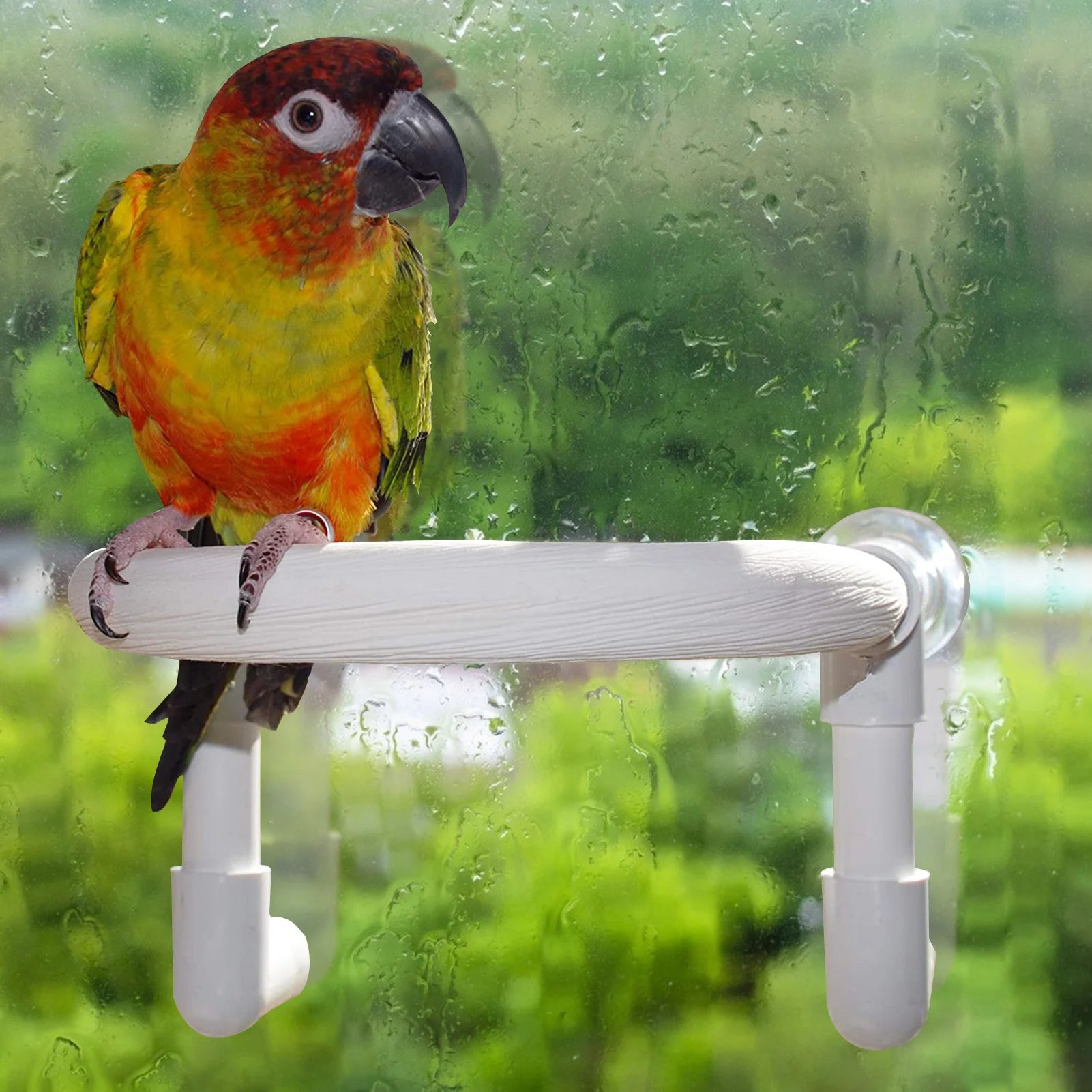 PVC Parrot Shower Perch with Suction Cups