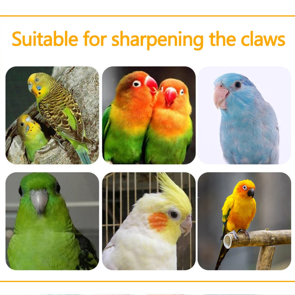 Wooden Bird Perch with Colored Quartz Sand