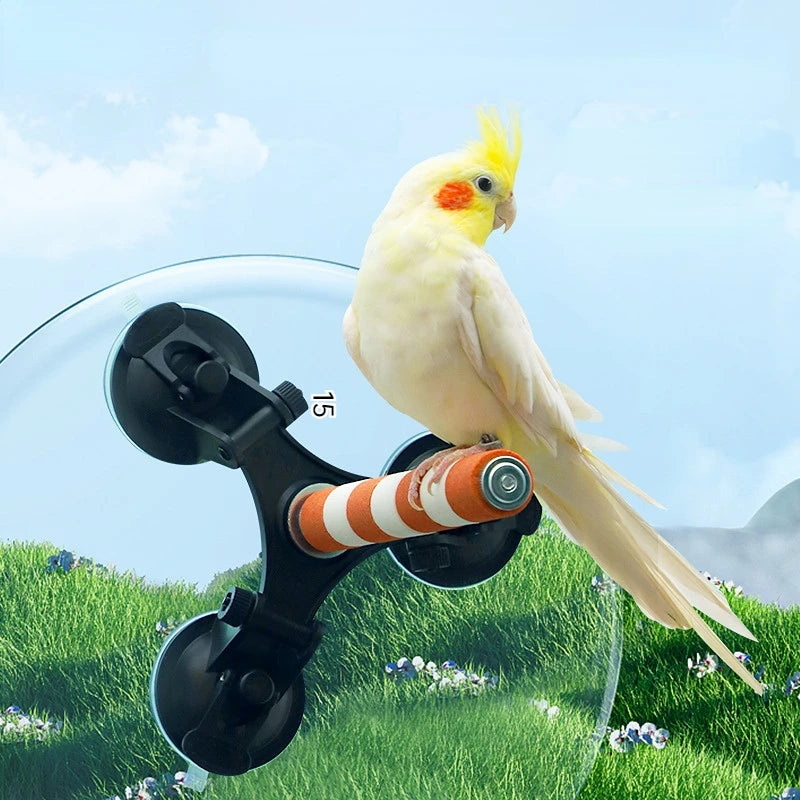Metal Bird Perch with Suction Cup