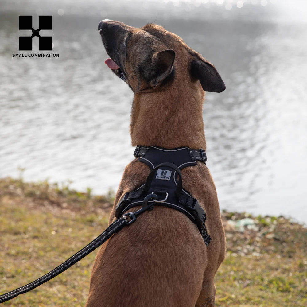 Personalized No-Pull Dog Harness – Reflective & Padded Vest