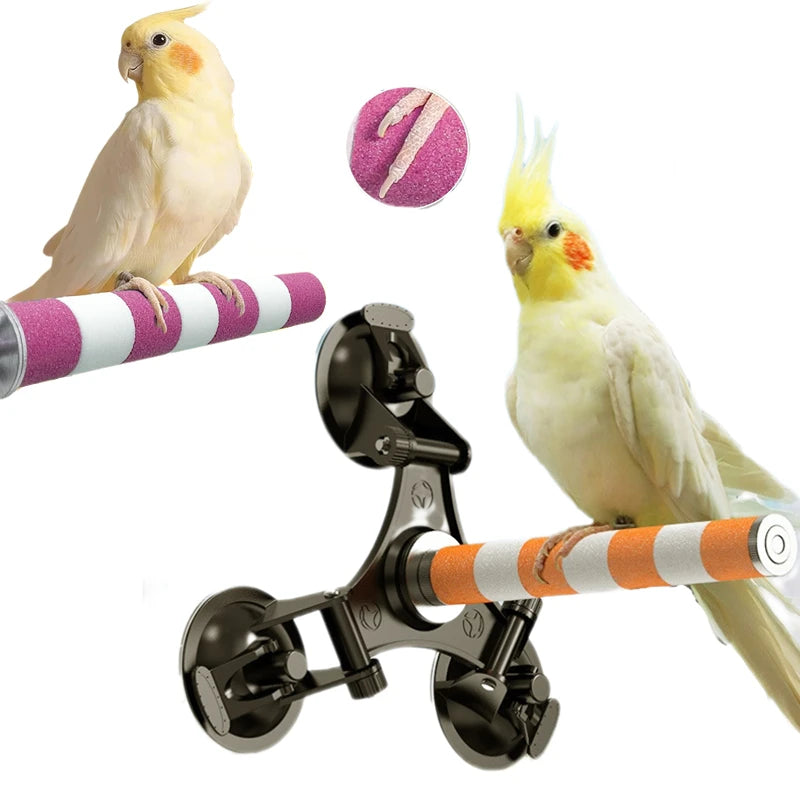 Metal Bird Perch with Suction Cup
