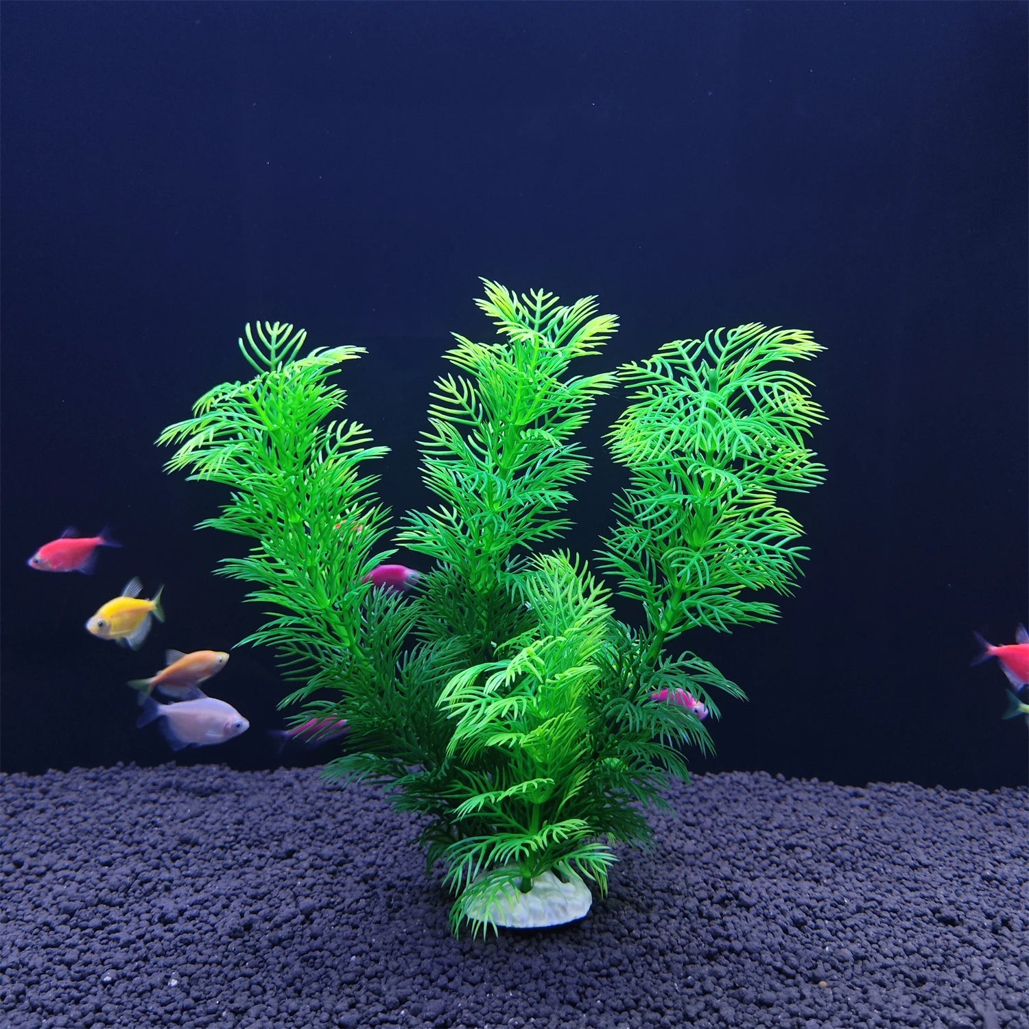 Plastic Aquarium Plant Decoration – Flexible & Realistic